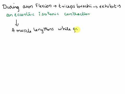 during-arm-flexion-what-type-of-contraction-would-the-triceps-brachii-be-exhibiting-concentric-isotonic-contraction-eccentric-isotonic-contraction-isometric-contraction-00095