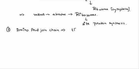 choose-all-the-events-listed-below-that-occur-in-the-cytoplasm-of-eukaryotes-select-one-or-more-apolypeptide-is-released-bmrna-attaches-to-a-ribosome-c-amino-acids-join-in-a-chain-dmrna-nucl-12905