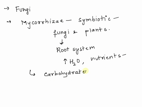 point-whichof-the-following-statements-about-the-hyphae-of-ectomycorrhizal-they-fungi-are-correct-provide-plants-with-minerals-and-water-from-the-soil-they-relyon-sugars-that-plants-produce-23616
