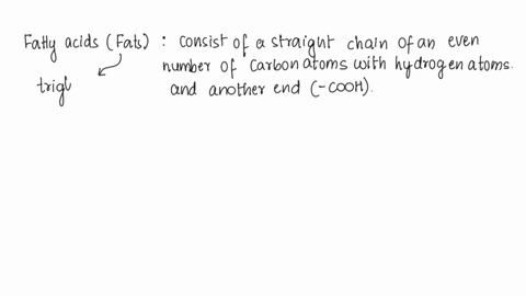 describe-the-structure-and-function-of-fatty-acid-molecules-including-the-difference-between-saturated-and-unsaturated-fatty-acids-60132