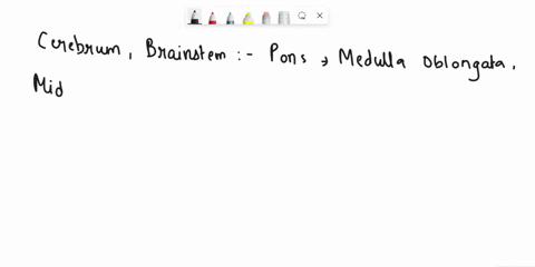 cerebrum-brainstem-pons-medulla-12-label-the-diagram-with-the-following-ters_-oblongata-and-midbrain-cerebellum-arbor-vitae-corpus-callasum-thalamus-hypothalamus-corpora-quadrigemina-mammill-74748