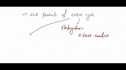 research-on-what-is-the-products-of-calvin-cycle-96323