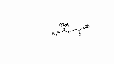 isomers-dmd-resonance-structures-146-creatlne-dietary-supplement-used-by-0mte-athletes-boost-thelr-athletic-performance-draw-in-all-lone-pairs-in-creatine-b-draw-two-additional-resonance-sen-37412