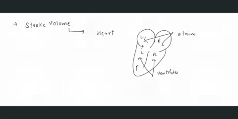 explain-stroke-volume-cardiac-output-heart-rate-list-the-relation-between-these-3-variables-what-variable-does-increasing-and-decreasing-venous-return-directly-effect-if-you-are-looking-to-r-65338