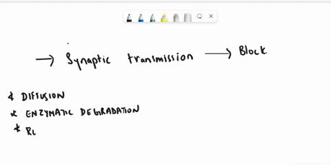 discuss-one-of-the-mechanisms-that-stop-synaptic-transmission-44291