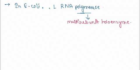 question-4-1-point-the-rna-polymerase-holoenzyme-that-binds-tightly-and-specifically-to-the-initiation-of-transcription-in-prokaryotic-cells-such-as-e-promoter-during-coli-contains-two-q-sub-15078