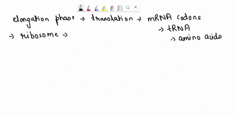 during-elongation-which-site-in-the-ribosome-represents-the-location-where-a-codon-is-being-read-a-e-site-b-p-site-c-a-site-d-the-small-ribosomal-subunit-33238