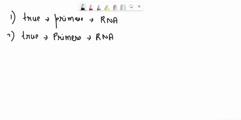 question-56-which-of-these-is-false-about-primers-primers-are-synthesized-by-primase-primer-consists-of-short-rna-sequences-primers-provide-3-end-t0-which-dna-polymerase-canatach-dna-nucleot-93611