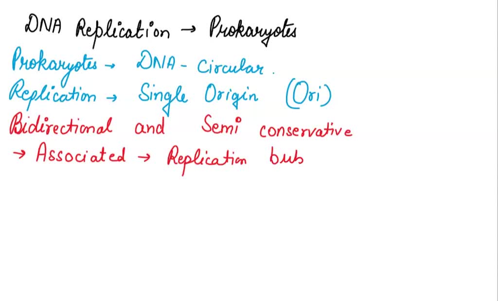 SOLVED which statement about the DNA replication process in