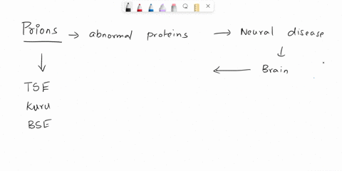 prions-are-made-of-protein-only-consist-of-a-special-nucleocapsid-consist-of-proteins-and-phospholipids-are-made-of-rna-only-are-made-of-dsrna-and-protein-58078