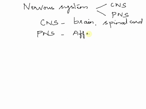 sensory-fibers-or-pathways-are-referred-to-as-afferent-motor-fibers-or-pathways-are-referred-to-as-e-14817