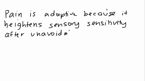 describe-how-and-why-pain-is-adaptive-2-20369