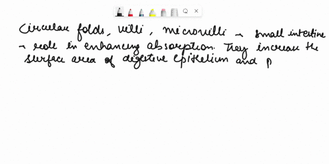 circular-foldsvilliand-microvilli-of-the-small-intestine-enhance-absorption-because-they-o-stimulate-the-release-of-enzymes-from-the-pancreas-o-efficiently-move-food-along-the-lumen-o-increa-58064