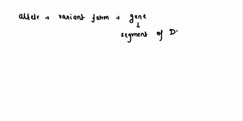 an-allele-is-a-letter-that-represents-a-gene-true-false-54365