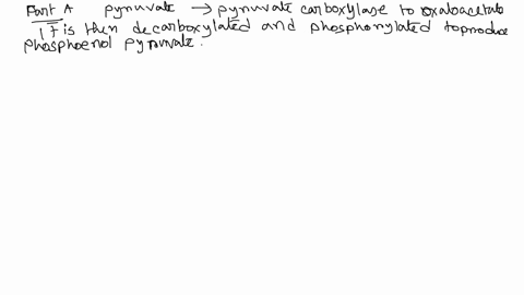 part-a-activation-of-pyruvate-carboxylase-by-acetyl-coa-activation-of-pyruvate-carboxylase-by-acetyl-coa-this-is-a-signal-that-part-of-available-pyruvate-can-be-metabolized-into-oxaloacetate-47433