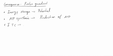 what-are-the-consequences-of-a-proton-gradient-and-how-could-a-gradient-be-used-in-the-mitochondria-21877
