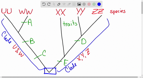consider-the-tree-below-where-the-letters-a-b-c-dand-e-represent-the-ppearance-of-character-states-capital-letters-on-the-phylogeny-assume-that-the-character-states-at-the-root-of-the-tree-f-75668