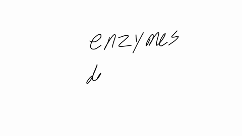 most-of-the-protein-digesting-enzymes-are-produced-by-the-small-intestines-and-pancreas-stomach-and-pancreas-salivary-glands-and-stomach-stomach-and-small-intestines