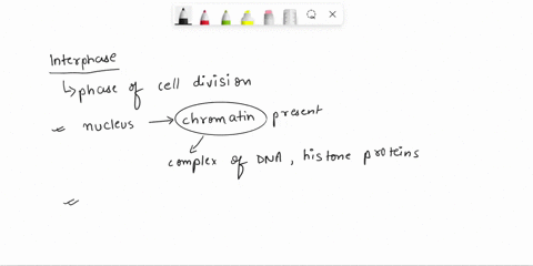 the-following-illustrations-represent-cell-in-species-with-chromosome-number-of-diploid-just-prior-to-and-at-the-onset-of-cell-division-either-mitosis-or-meiosis-as-you-answer-the-next-sever-15298