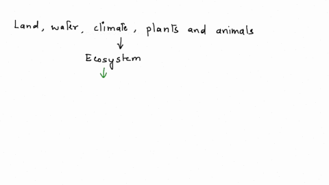 consider-the-following-si2-reaction_-br-cn-cn-br-acetone-draw-a-mechanism-using-curved-arrows-b-draw-an-energy-diagram-label-the-axes-the-reactants-products-ea-and-ah-assume-that-the-reactio-24878