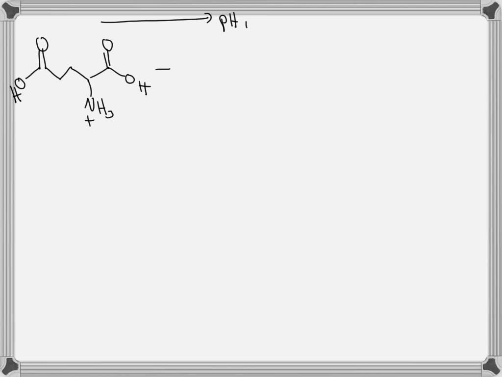 Solved Draw The Sequential Transition Of Glutamic Acid As It Passes From Its Fully Protonated