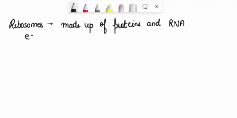 describe-the-basic-structure-of-ribosomes-in-bacterial-and-eukaryotic-cells-08715