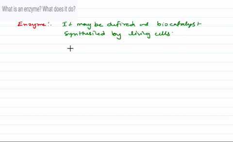 what-is-an-enzyme-what-does-it-do-07883