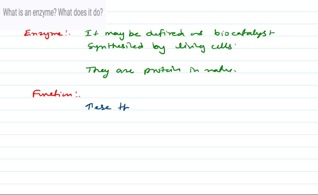 SOLVED What is an enzyme? What does it do?