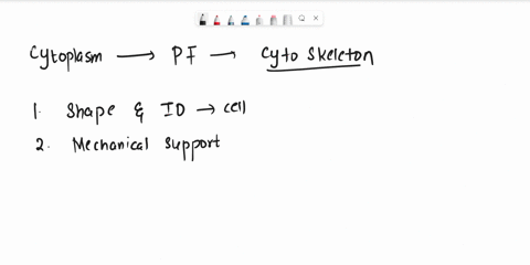which-of-these-choices-is-the-cytoskeletons-main-structure-it-provides-support-structure-and-holds-the-organelles-in-place-a-phospholipids-b-microtubules-c-ribosomes-d-cilia-99536