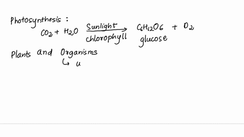 during-photosynthesis-plants-and-some-other-organisms-use-energy-from-the-sun-to-convert-carbon-dioxide-and-water-into-oxygen-and-sugars-true-or-false-35643