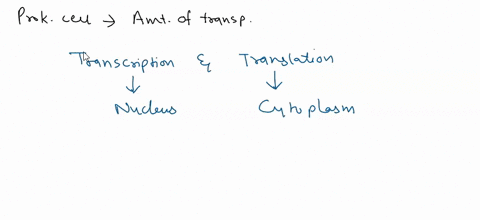 1-what-is-the-ultimate-product-of-gene-expression-in-other-words-what-is-the-dna-in-a-cell-used-for-2-gene-expression-can-be-regulated-at-multiple-different-points-which-of-the-following-pro-32728