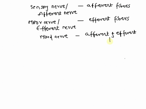 columm-efferent-hypoglossal-nerve-mixed-vagus-nerve-3rd-branch-of-trigeminal-nerve-trochlear-nerve-branch-of-facial-nerve-to-the-obicularis-oris-optic-nerve-ophthalmic-division-of-trigeminal-60414