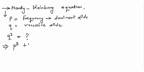in-the-hardy-weinberg-equation-shown-below-p-is-the-frequency-of-the-dominant-allele-and-q-is-the-recessive-allelewhat-does-q2-represent-in-the-equationathe-frequency-of-the-homozygous-domin-06113