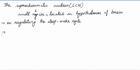 the-suprachiasmatic-nucleus-a-secretes-melatonin-b-stimulates-beta-waves-c-filters-incoming-sensory-87543