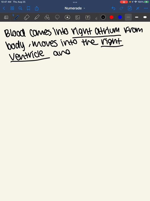draw-the-flow-of-blood-through-the-heart-as-part-of-the-double-circulatory-system-for-full-credit-use-arrows-to-depict-the-movement-of-blood-through-the-different-chambers-valves-and-blood-v-89126