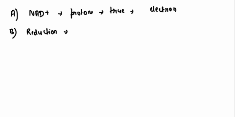which-statement-about-cofactors-that-participate-in-oxidation-reduction-reactions-is-false-a-nad-can-accept-two-electrons-and-two-protons-to-become-fully-reduced-b-reduction-of-nad-to-nadh-i-80685