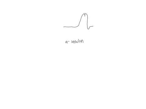 answer-the-questions-13