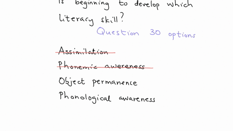 when-a-student-is-reading-a-story-and-notices-that-the-word-cat-and-bat-rhyme-the-student-is-beginning-to-develop-which-literacy-skill-question-30-options-assimilation-phonemic-awareness-object-perman