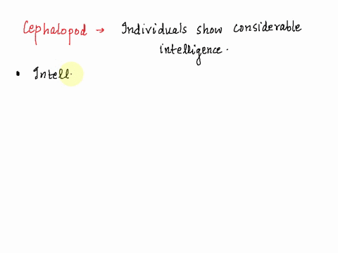 some-of-the-most-intelligent-invertebrates-belong-which-group-97517