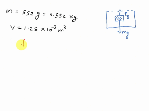 what-is-the-magnitude-of-the-net-force-on-a-ball-of-a-mass-of-552-g-and-a-volume-of-125-x-10-3-m3-when-it-is-fully-submerged-underwater-15817
