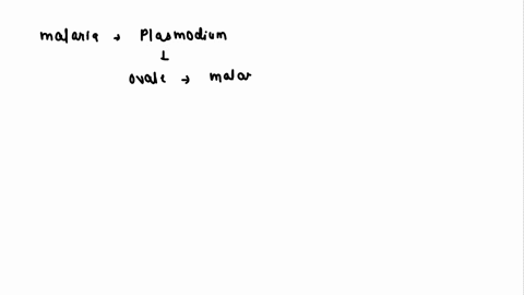 the-most-serious-form-of-malaria-is-caused-by-plasmodium-________-i-ovale-ii-malariae-iii-falciparum-iv-vivax-tnscert-class-10-biology-ch-2-immune-system-65068