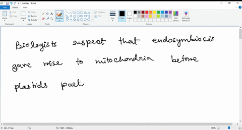 biologists-suspect-that-endosymbiosis-gave-rise-to-mitochondria-before-plastids-partly-because-a-mitochondrial-proteins-are-synthesized-on-cytosolic-ribosomes-whereas-plastids-utilize-their-73962
