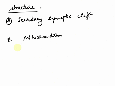 my-structureshistologymultiple-choice-what-structure-is-highlighted-secondary-synaptic-cleft-junctional-fold-mitochondrion-in-synaptic-terminal-c-synaptic-vesicles-in-synaptic-terminal-d-mot-65206