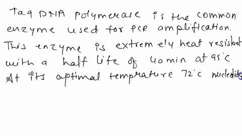 why-is-taq-polymerase-especially-useful-for-pcr-94524