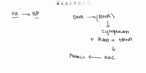 which-of-the-following-bonds-may-contribute-to-the-protein-tertiary-structure-hydrogen-bonds-between-r-groups-b-hydrophobic-interactions-between-r-groups-ionic-bonds-disulfide-bonds-between-16088