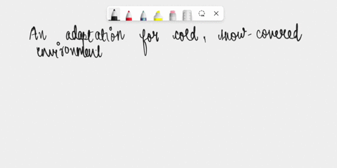 which-is-an-adaptation-for-cold-snow-covered-environments-48288
