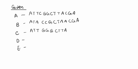 phylogenetic-tree-examine-the-rrna-sequences-ofthe-organisms-below-make-distance-matrix-and-draw-tree-representing-which-are-most-closely-related-name-attcggcttacga-ataccgctaacga-attg-g-gctt-20834
