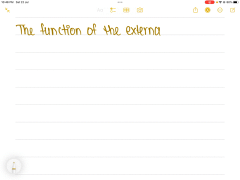 what-is-the-function-of-an-external-pterygoid-muscle