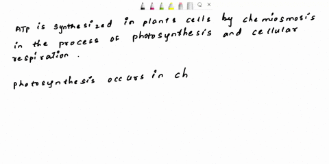 1-atp-is-synthesized-in-plant-cells-by-chemiosmosis-in-which-of-the-following-process-a-photosynthesis-only-b-cellular-respiration-only-c-photosynthesis-and-cellular-respiration-d-photosynth-56308