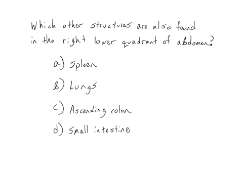 yans-appendix-had-ruptured-so-after-removing-the-appendix-and-cleaning-the-area-the-surgeon-examines-nearby-structures-in-the-abdominal-cavity-for-abscesses-due-to-the-exposure-to-pathogens-57425